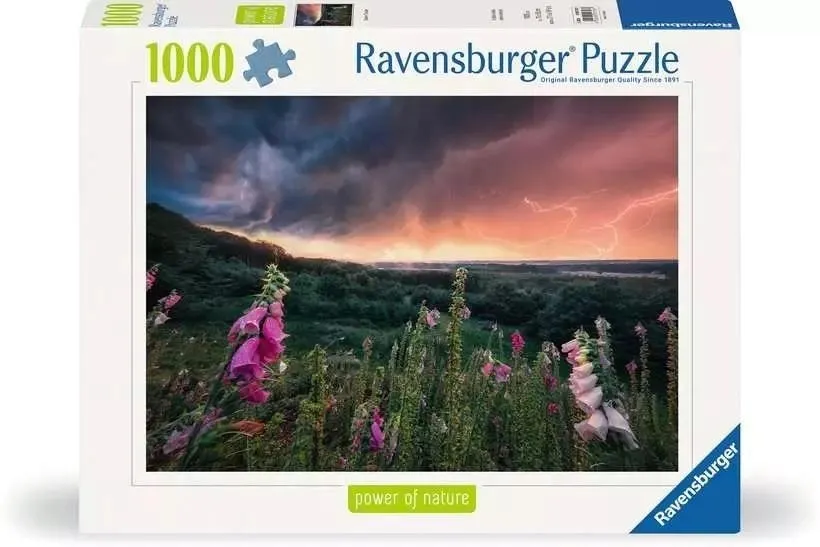 puzzle-1000-nadchodzi-burza