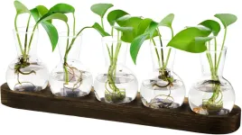 wazon-stojak-do-rozmnazania-roslin-szklane-terrarium-ozdoba-prezent-uprawa