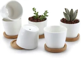 6x-doniczki-ceramiczne-podstawki-drewniane-6-sztuk-na-sukulenty-okragle