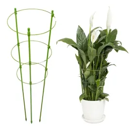 ag691g-podpora-pierscieniowa-60cm-roslin