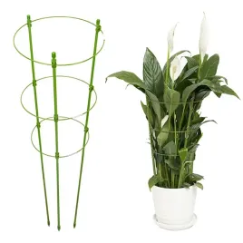 ag691g-podpora-pierscieniowa-60cm-roslin