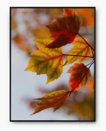 plakat-a3-30x40-w-ramie-imp-jesien-16