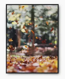 plakat-a3-30x40-w-ramie-imp-jesien-11