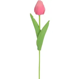 tulipan-gumowany-pojedynka-kolor-rozowy