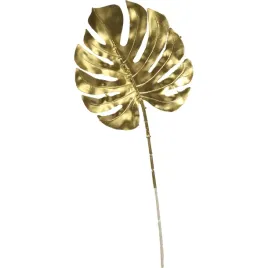 galazka-filodendrona-69-cm-zlota