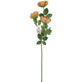 galazka-3-mini-piwonii-65cm-jasno-brazowy