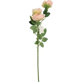 galazka-3-mini-piwonii-65cm-lososiowy-kwiat