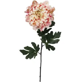 chryzantema-duza-pojedyncza-jasno-rozowy-86cm