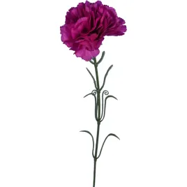 gozdzik-pojedynka-w-kolorze-fioletowym-54-cm