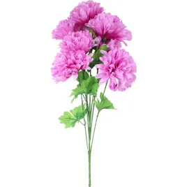 bukiet-7-chryzantem-80cm-fioletowy-goliat-kwiaty