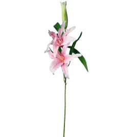 galazka-2-lilii-z-pakiem-jasno-rozowa-kwiaty