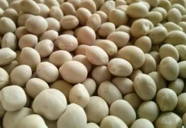 lubin-waskolistny-plenny-slodki-nasiona-poplon-1kg