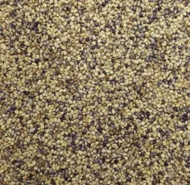 koniczyna-lakowa-czerwona-miododajna-1kg-poplon