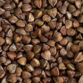 gryka-na-poplon-nasiona-przedplon1kg-na-poplon