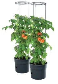2x-donica-i-stelaz-115cm-uprawa-pomidorow-ipom300