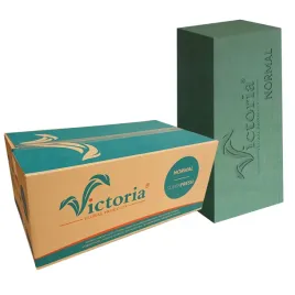 gabka-florystyczna-mokra-victoria-floral-products-kwiaty-zywe-karton-20-szt