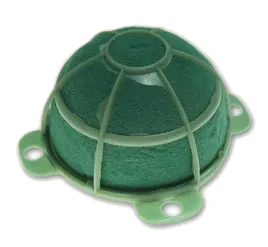 floret-turtle-midi-gabka-mokra-kwiaty-zywe-victoria-srednica-11-cm