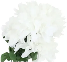 bukiet-chryzantema-biala-chryzantemy-kwiaty-5-szt