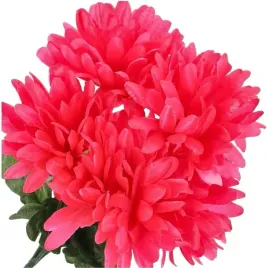 bukiet-chryzantema-amarantowa-chryzantemy-30cm-5sz