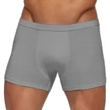 bokserki-cornette-authentic-mini-szary-m-material-dominujacy-bawelna