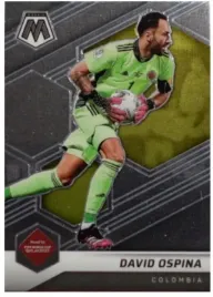 road-to-qatar-2022-mosaic-david-ospina-n-181