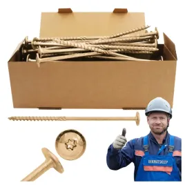 wkrety-ciesielskie-do-drewna-8x200-talerzowe-torx-50szt-wct-08200-azmet