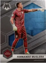 road-to-qatar-2022-mosaic-fernando-muslera-n-117