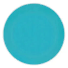 talerzyki-wielorazowe-turkusowe-plastik-25-cm