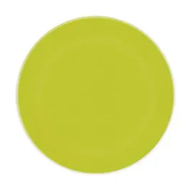 talerzyki-wielorazowe-limonkowe-plastik-20-cm