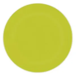 talerzyki-wielorazowe-limonkowe-plastik-25-cm