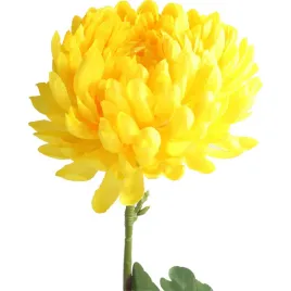 chryzantema-pojedynka-zolta-80cm-sztuczny-kwiat