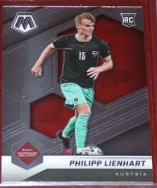 road-to-qatar-2022-mosaic-philipp-lienhart-n-138
