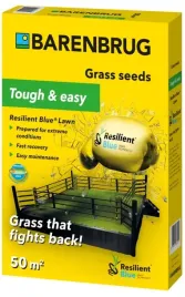 trawa-barenbrug-resilient-lawn-bardzo-odporna-1kg