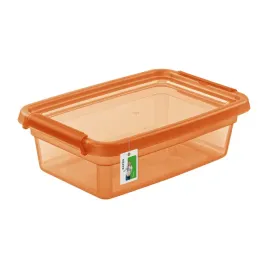 pojemnik-z-uchylna-pokrywa-przezroczysty-29-x-19cm
