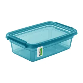 pojemnik-z-uchylna-pokrywa-przezroczysty-29-x-19cm