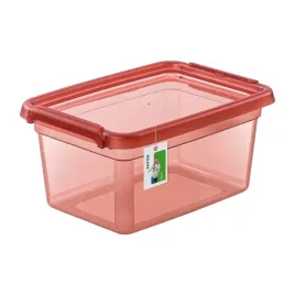 pojemnik-z-uchylna-pokrywa-przezroczysty-19-x-14cm