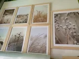 ramka-sosnowa-30x40-material-drewno