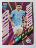 fifa-365-2024-panini-limited-rodri
