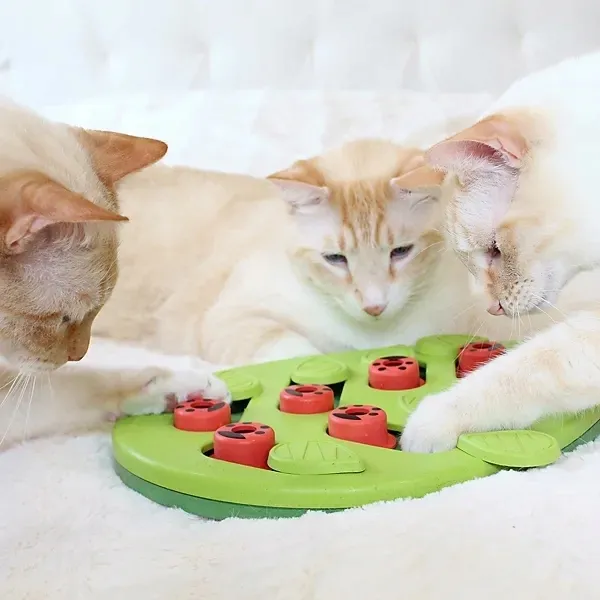nina-ottosson-cat-buggin-out-puzzle-and-play