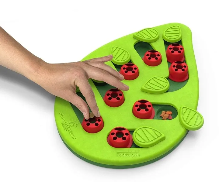 nina-ottosson-cat-buggin-out-puzzle-and-play-stan-nowy