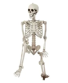 dekoracja-wiszaca-szkieletor-duzy-halloween-165-cm