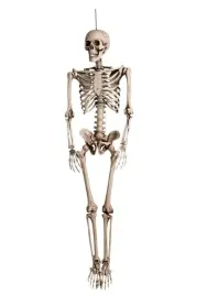 dekoracja-wiszaca-szkieletor-duzy-halloween-165-cm