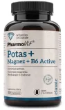 potas-magnez-witamina-b6-active-120-kapsulek