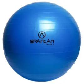 pilka-gimnastyczna-fitness-spartan-55-cm-niebieska