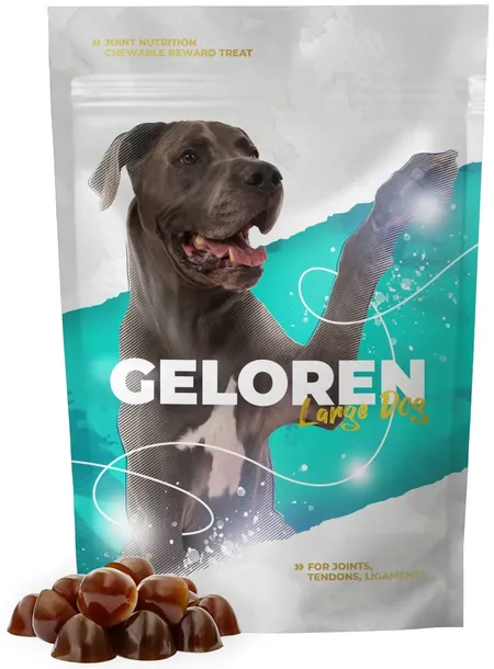Geloren Dog Large na stawy duże psy 1 x (60 szt, 420 g) 49a