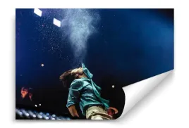 fototapeta-harry-styles-03-312x219-sypialnia-salon
