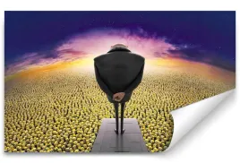 fototapeta-minionki-03-416x254-sypialnia-salon