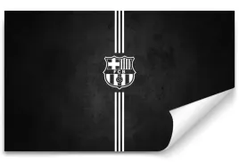 fototapeta-fc-barcelona-03-416x254-sypialnia-salon