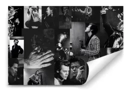 fototapeta-harry-styles-01-152x104-sypialnia-salon