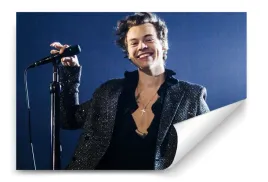 fototapeta-harry-styles-05-152x104-sypialnia-salon
